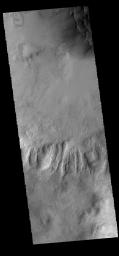 PIA21319: Dunes and Gullies