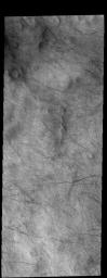 PIA21501: Dust Devil Tracks