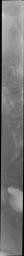 PIA21948: Investigating Mars: Siton Undae