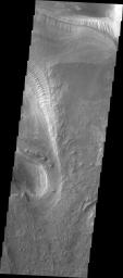 PIA22135: Investigating Mars: Melas Chasma