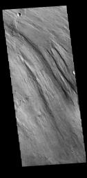 PIA22374: Lobo Vallis