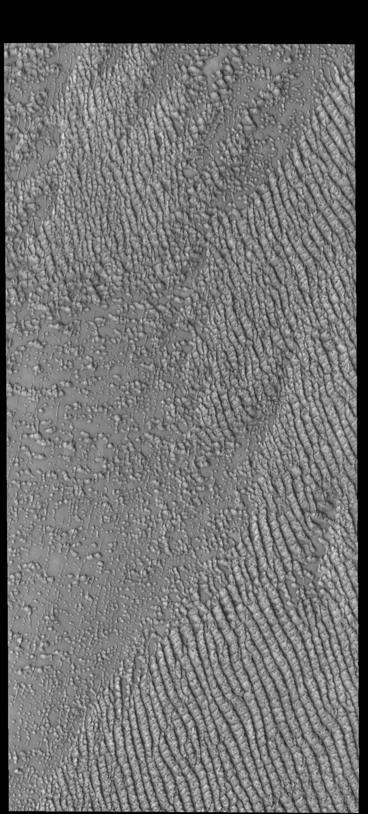 PIA23381: Hyperboreae Undae