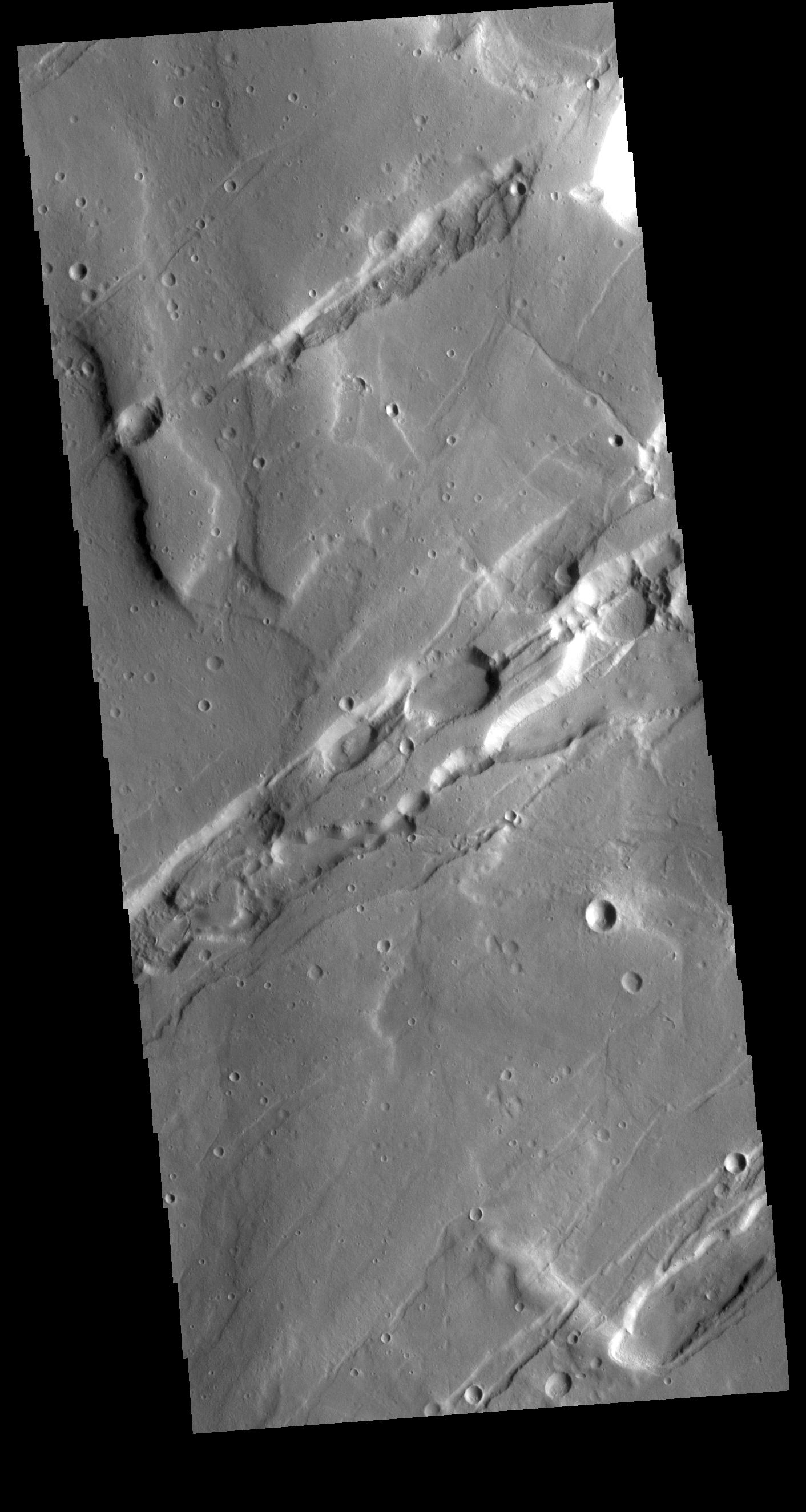 PIA23732: Mareotis Fossae