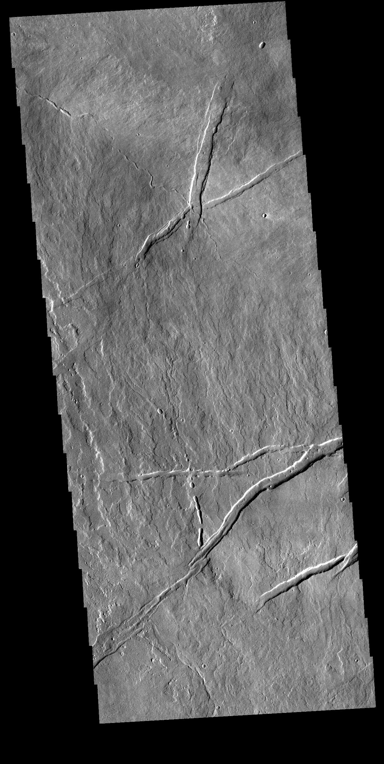 PIA24012: Tharsis Volcanics