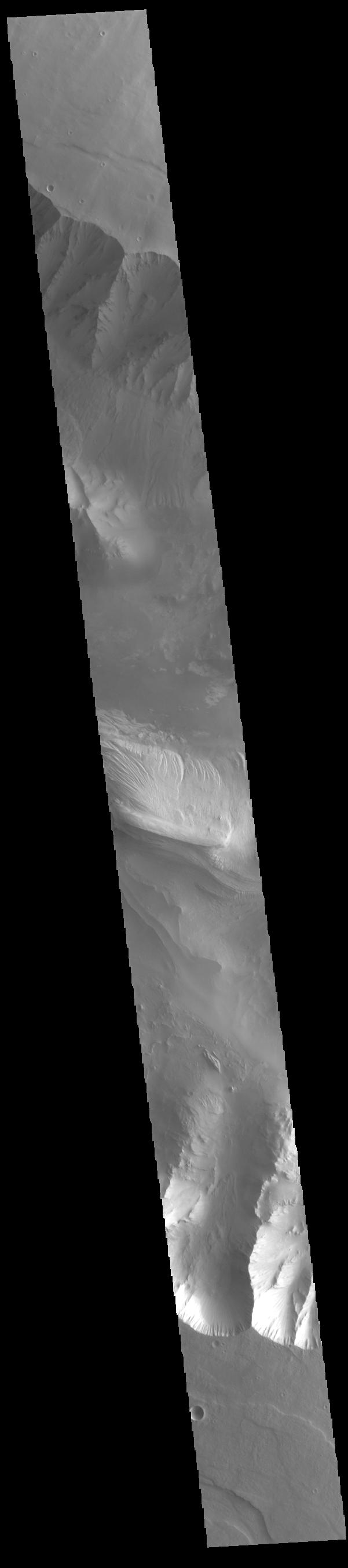 PIA24875: Candor Chasma