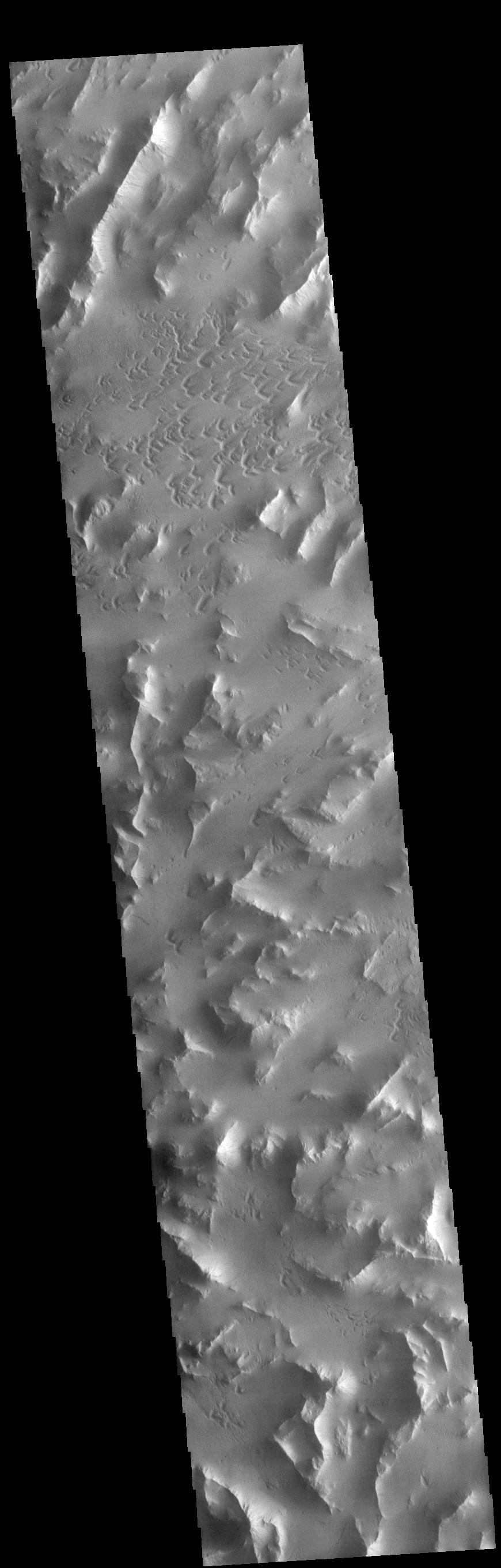 PIA24879: Lycus Sulci