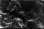 PIA00285: Mars Life? - Microscopic Tubular Structures