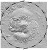 PIA02053: North Polar Topography (MOLA)