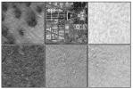 PIA02313: Mars Polar Lander Site Compared With Washington, D.C.