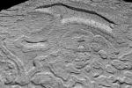 PIA03874: Derived Topographic Model from Mars Global Surveyor Instruments