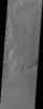 PIA04455: Daedalia Planum