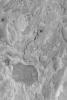 PIA04700: Northeast Arabia Terra