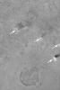 PIA05126: Dust Devils Near Schiaparelli