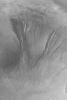 PIA05185: High-resolution View of Gullies