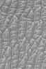 PIA05856: Frosty Dune Field