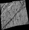 PIA06309: Microscopic Image Inside 'Endurance'