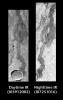 PIA06399: Arsia Mons by Day and Night