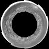 PIA06868: 'Endurance' Untouched (polar)