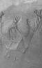 PIA08020: Terra Sirenum Gullies