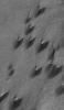 PIA08703: Archangel's Dunes