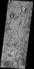 PIA08728: Utopia Planitia