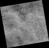 PIA09553: Northern Plains