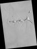 PIA09568: Volcanic Vent in the Tharsis Region