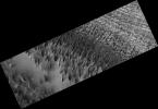 PIA10144: Bright Streaks and Dark Fans