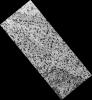 PIA10148: Lizard-Skin Surface Texture