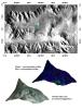 PIA10180: Interior Layered Deposits in Tithonium Chasma Reveal Diverse Compositions