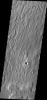 PIA10332: Elysium Planitia