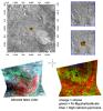 PIA10642: Olivine & Phyllosilicates in Nili Fossae