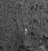 PIA10697: Phoenix Makes a Grand Entrance