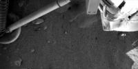 PIA10739: Mars Surface Beneath Phoenix