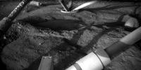 PIA11074: Underneath Phoenix Lander 97 Sols After Touchdown