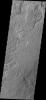 PIA11262: Arcuate Fractures