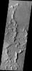 PIA11267: Dust Devil Tracks