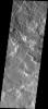 PIA11330: Odd Texture