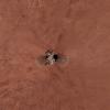 PIA11718: Phoenix Lander on Mars with Surrounding Terrain, Vertical Projection