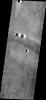 PIA11870: Dust Devil Tracks