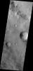 PIA11873: Dust Devil Tracks