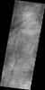 PIA11903: Dust Devil Tracks