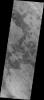 PIA11913: Dust Devil Tracks