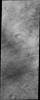 PIA11914: Dust Devil Tracks