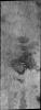 PIA11952: Dust Devil Tracks