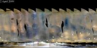 PIA11982: Martian Dust Storm near South Polar Cap