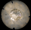 PIA11987: Weather Movie, Mars South Polar Region, March-April 2009