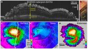 PIA12200: Radar Mapping of Icy Layers Under Mars' North Pole