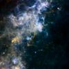 PIA12252: Dark Wombs of Stars