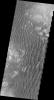 PIA12429: Kaiser Crater Dunes (VIS)